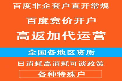 深度解析：百度推广费用与ROI的关联案例